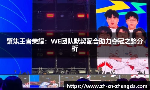 聚焦王者荣耀：WE团队默契配合助力夺冠之路分析
